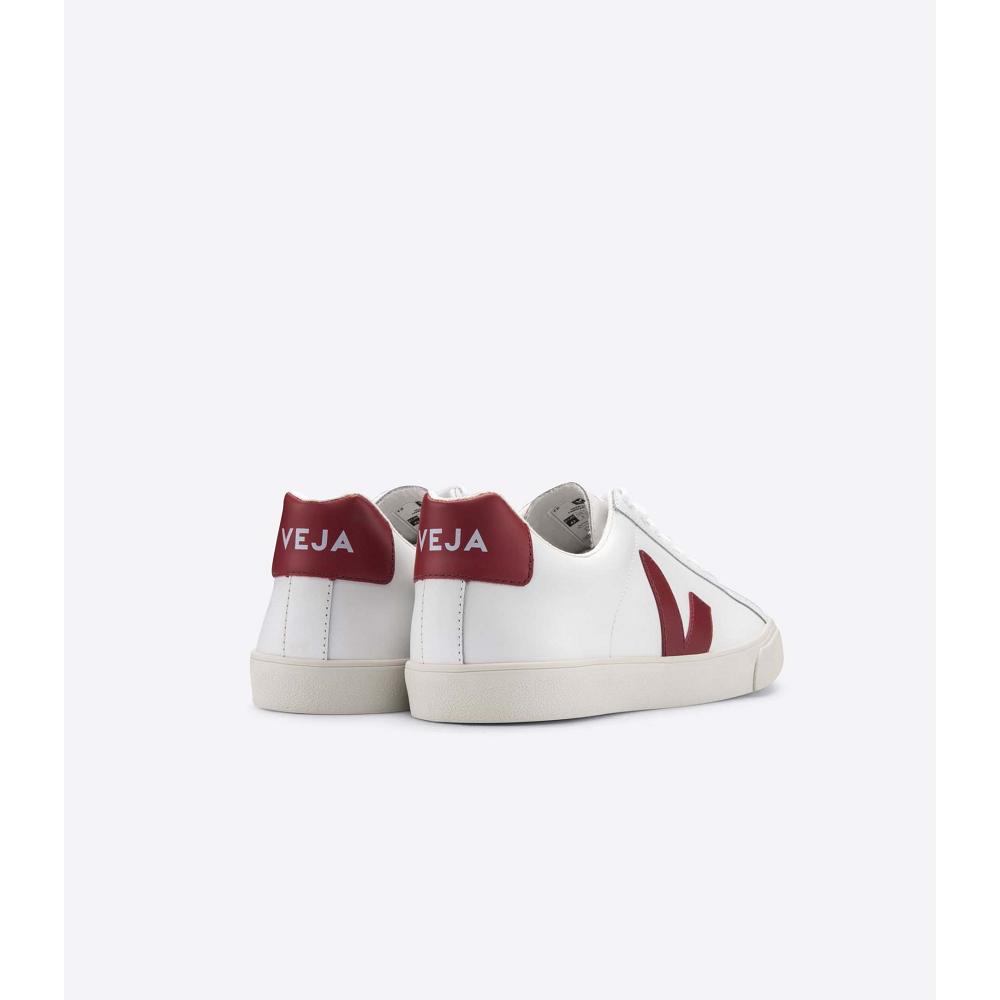 Veja ESPLAR LEATHER Women's Sneakers White/Red | CA 620JPQ